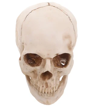 Декор от човешки черепи 6 3x5 9x5